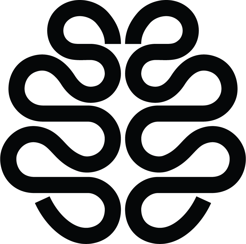 Consortium for Interacting Minds Logo
